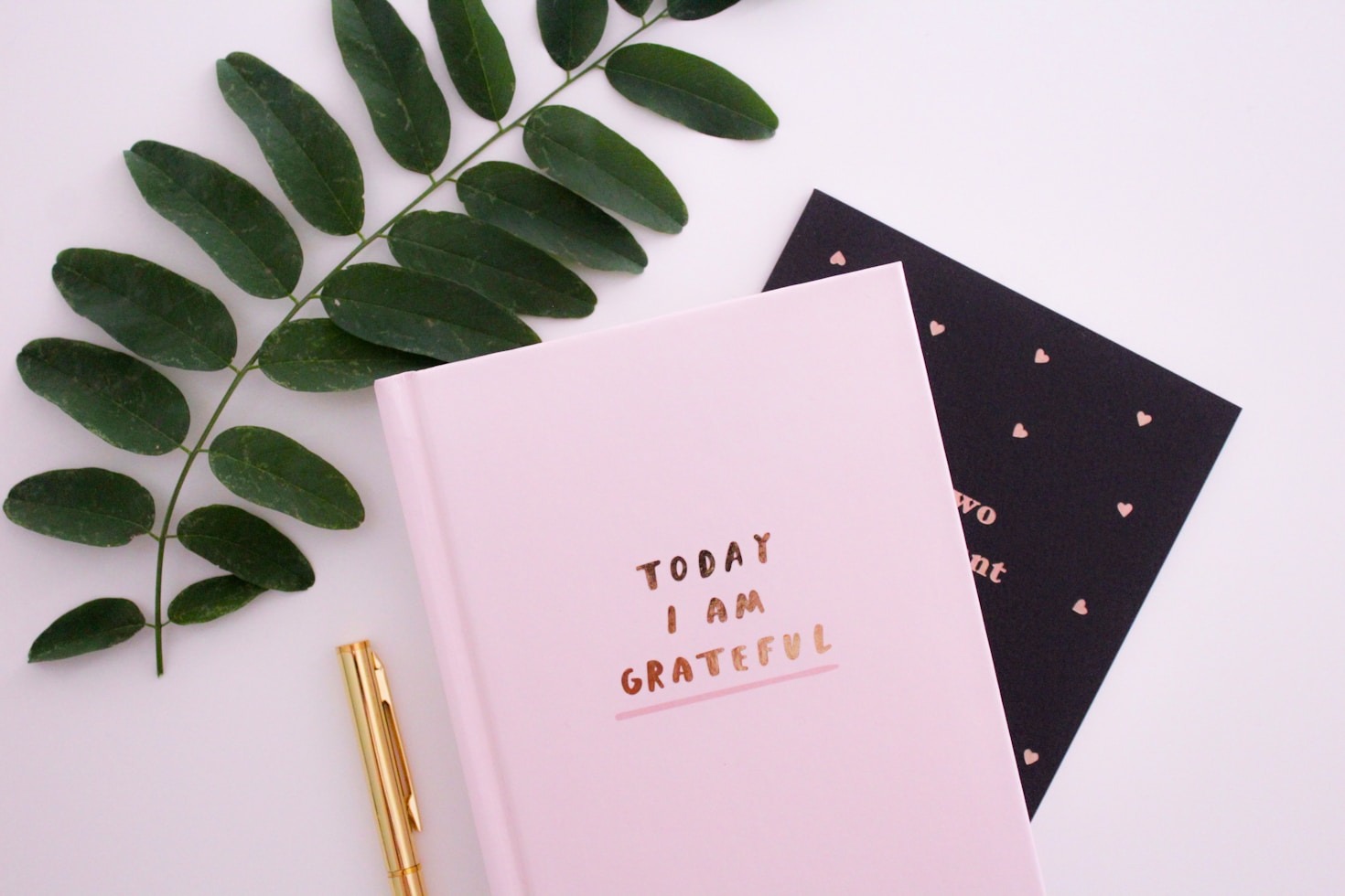 Thoughts on Balancing Passion and Purpose